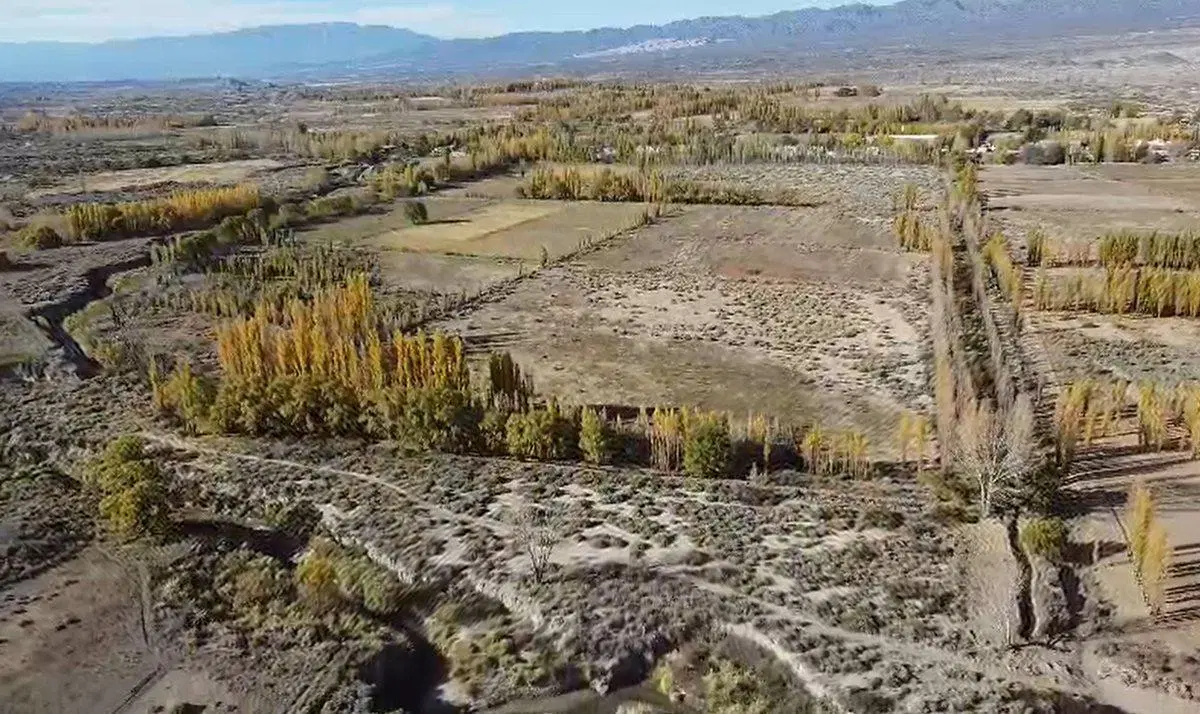 TERRENO DE 13 HECTAREAS, EN VILLA IGLESIA 4