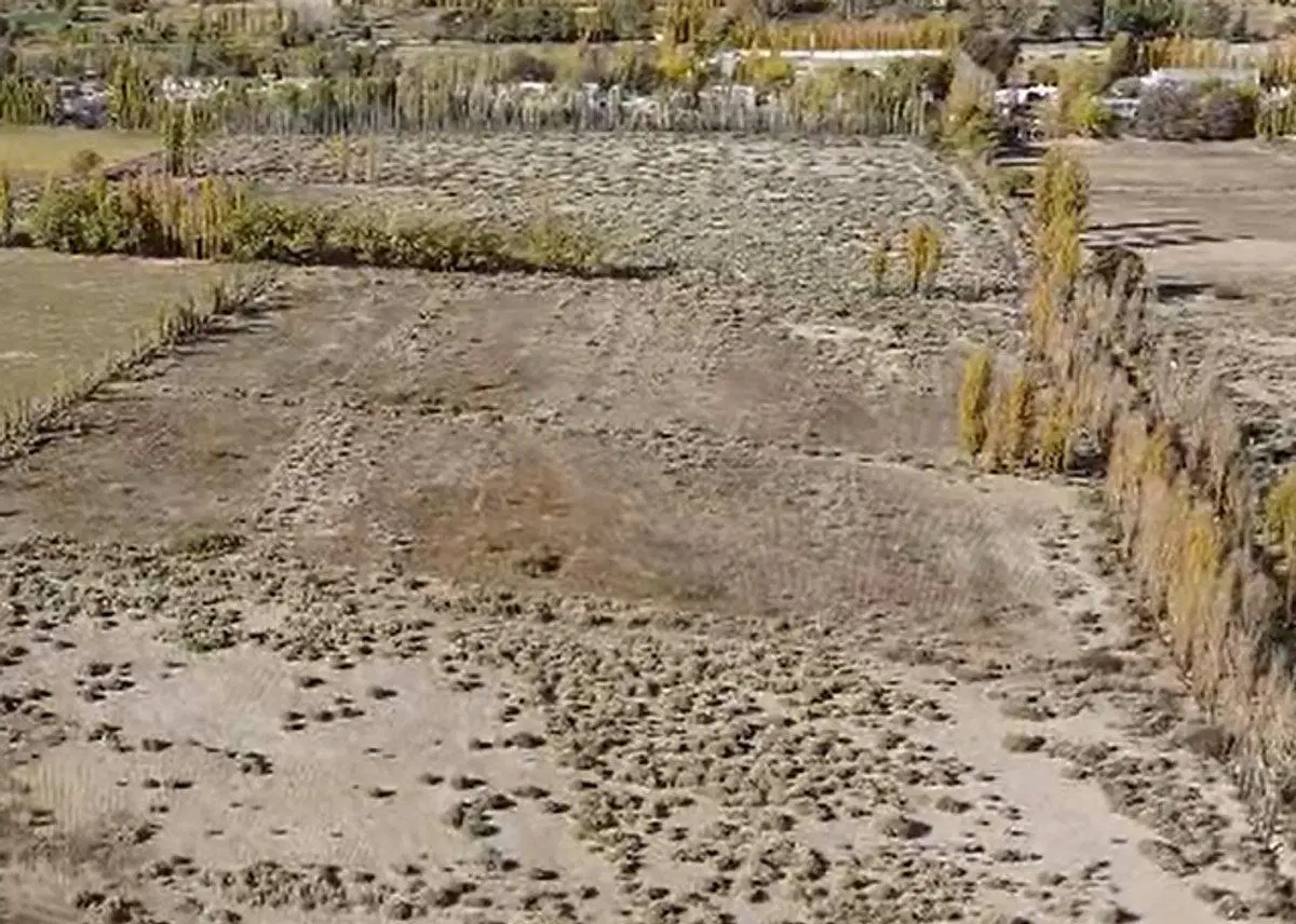 TERRENO DE 13 HECTAREAS, EN VILLA IGLESIA 3