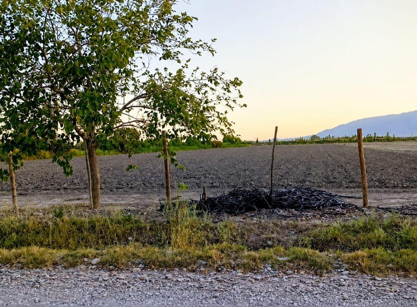 TERRENO 1.6 HA Calle 8 y Tascheret. Pocito