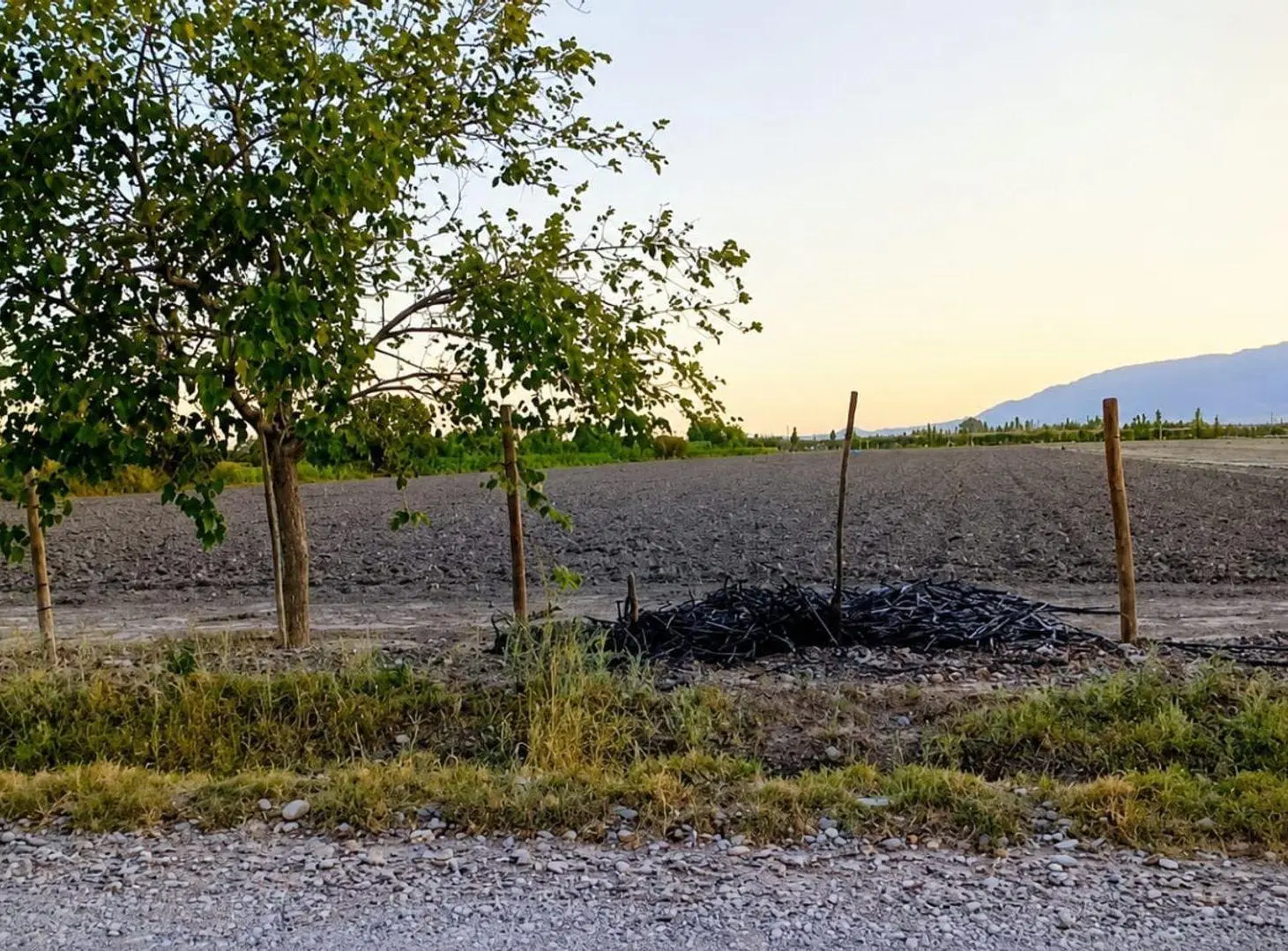 TERRENO 1.6 HA Calle 8 y Tascheret. Pocito 3