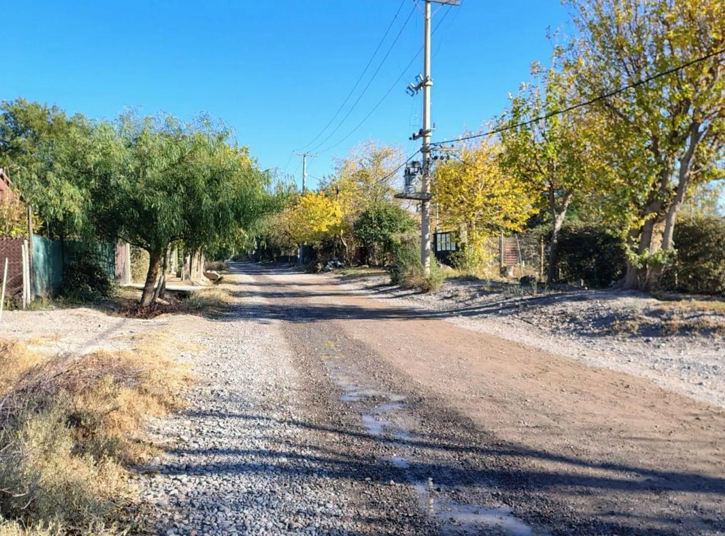 TERRENO 1.6 HA Calle 8 y Tascheret. Pocito 4