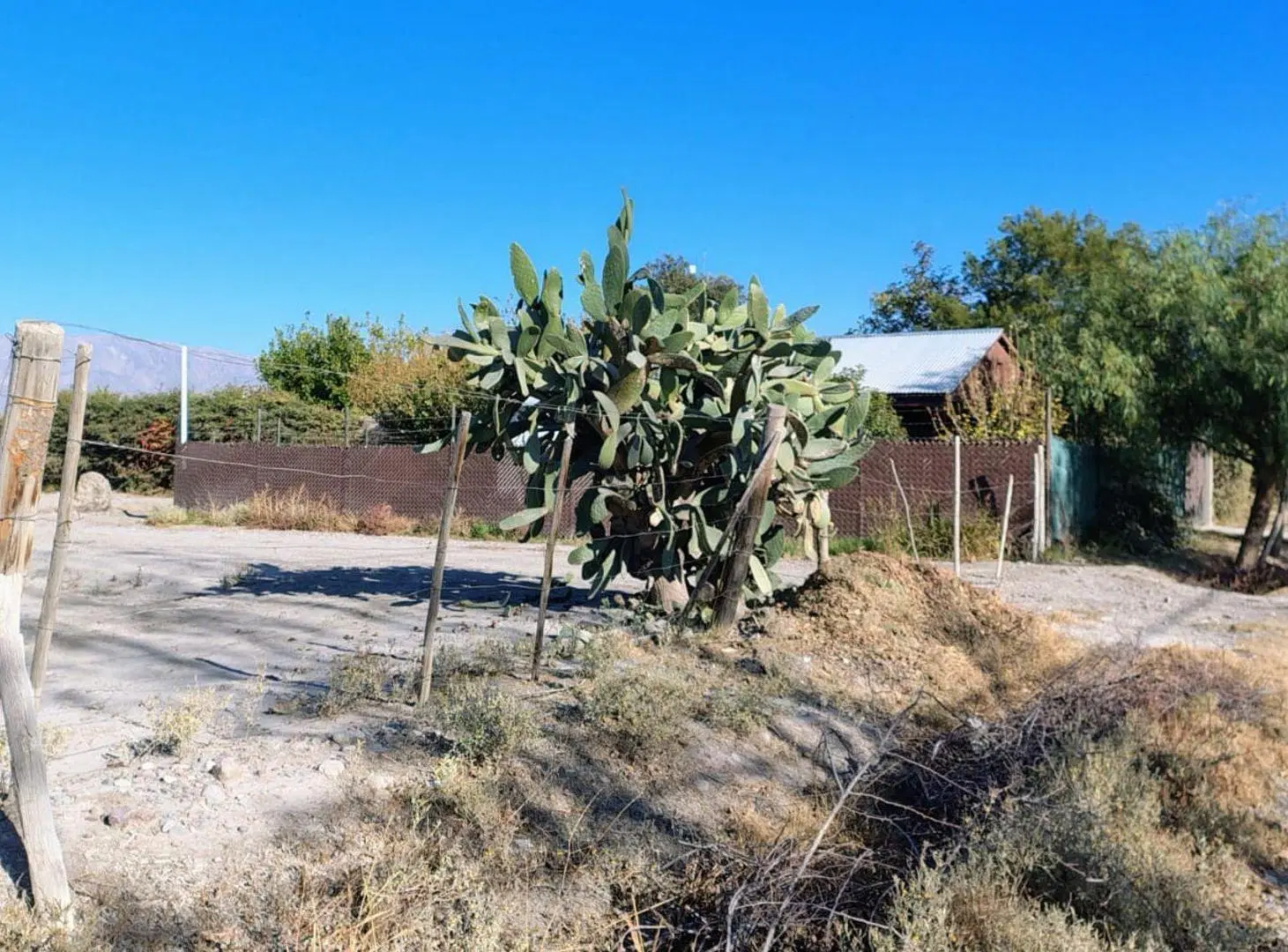 TERRENO 1.6 HA Calle 8 y Tascheret. Pocito 2