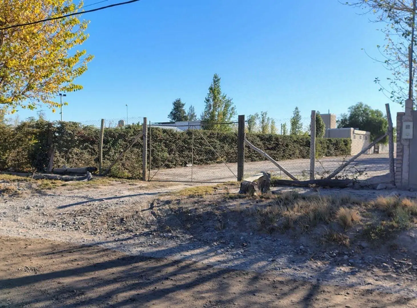 TERRENO 1.6 HA Calle 8 y Tascheret. Pocito 5