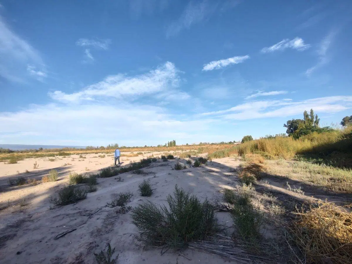VENTA LOTE EN CALLE TAHONA ANTES DE RODAS - RAWSON 2
