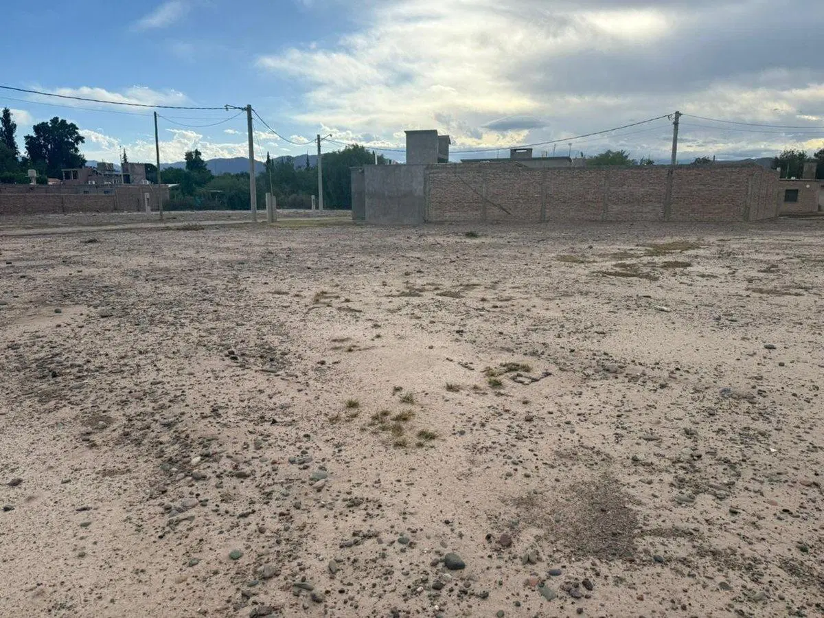 LOTE DE 480 M2. LOTEO DON DOMINGO. RIVADAVIA 4