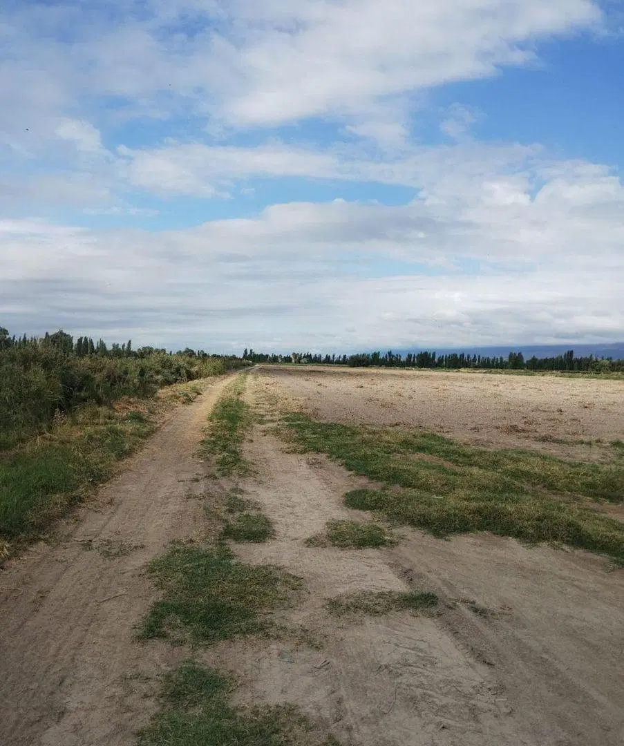 CAMPO DE 6 HECTAREAS. SOBRE CALLE 1O. POCITO 4
