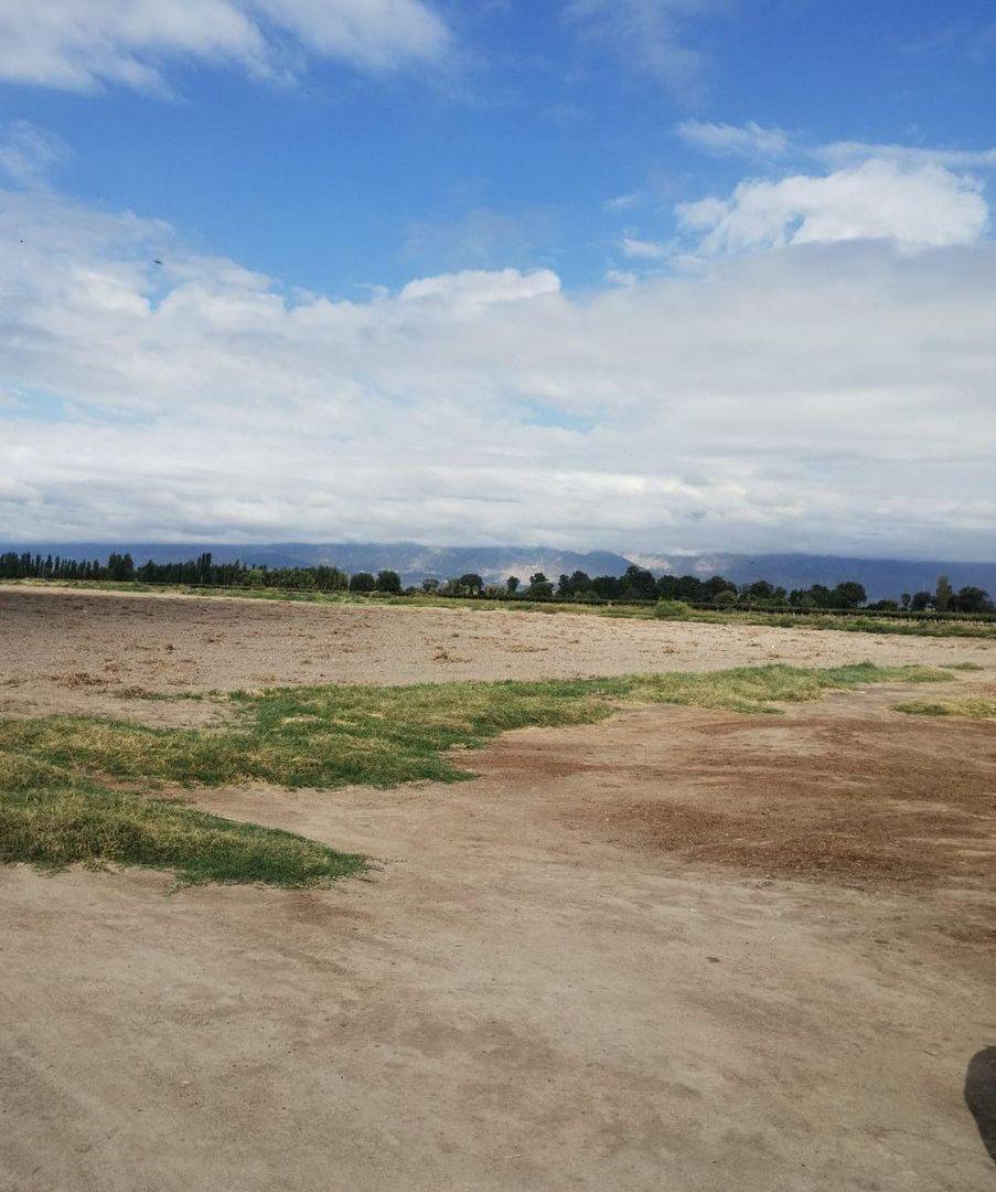 CAMPO DE 6 HECTAREAS. SOBRE CALLE 1O. POCITO