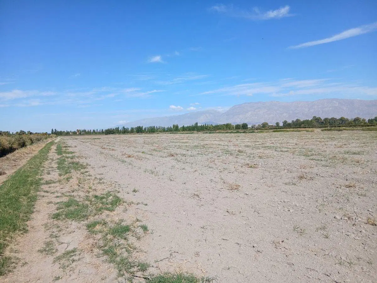 CAMPO DE 6 HECTAREAS. SOBRE CALLE 1O. POCITO 3