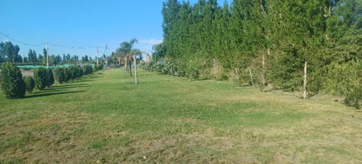 LOTE BARRIO PRIVADO EN MEDANITO. CON FINANCIACIÓN 5