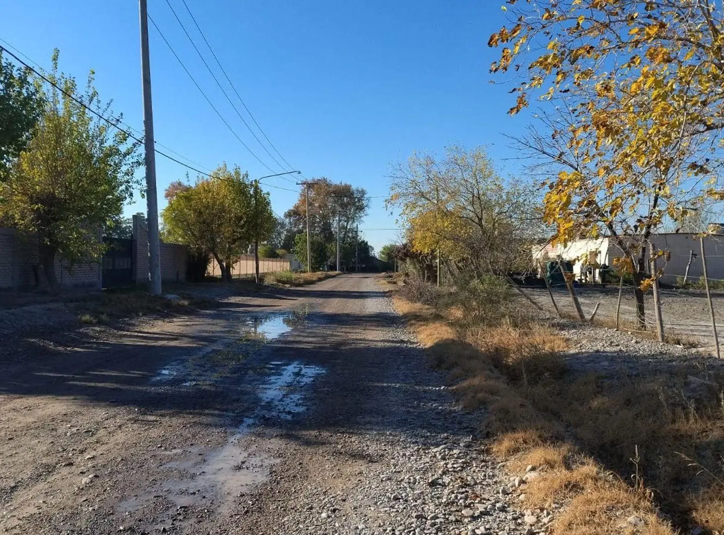Terreno de 1.3 Has, sobre calle 8. Pocito 2