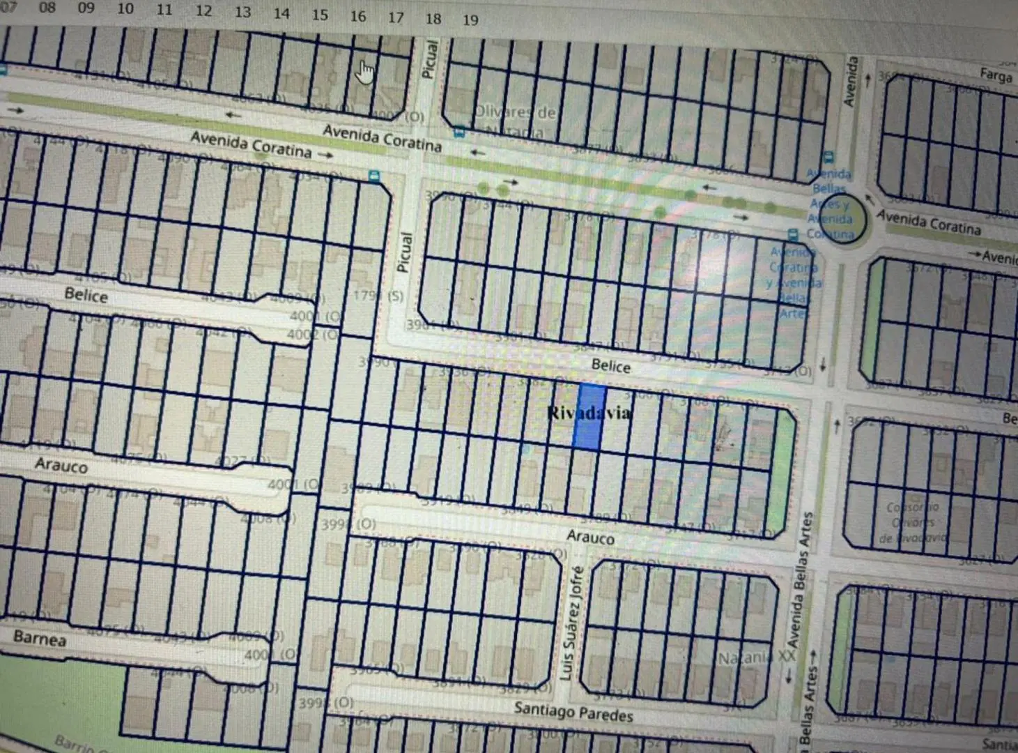 LOTE 250 M2 EN B° OLIVARES DE NATANIA, RIVADAVIA 2