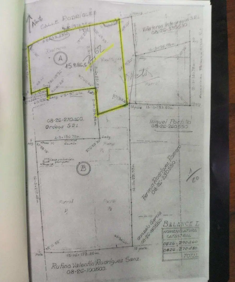 Plano 1
