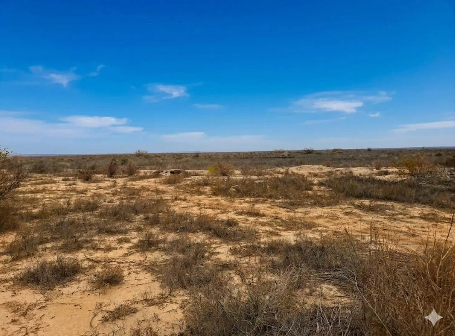 VENTA TERRENO DE 5.3H EN SANTA LUCIA 5