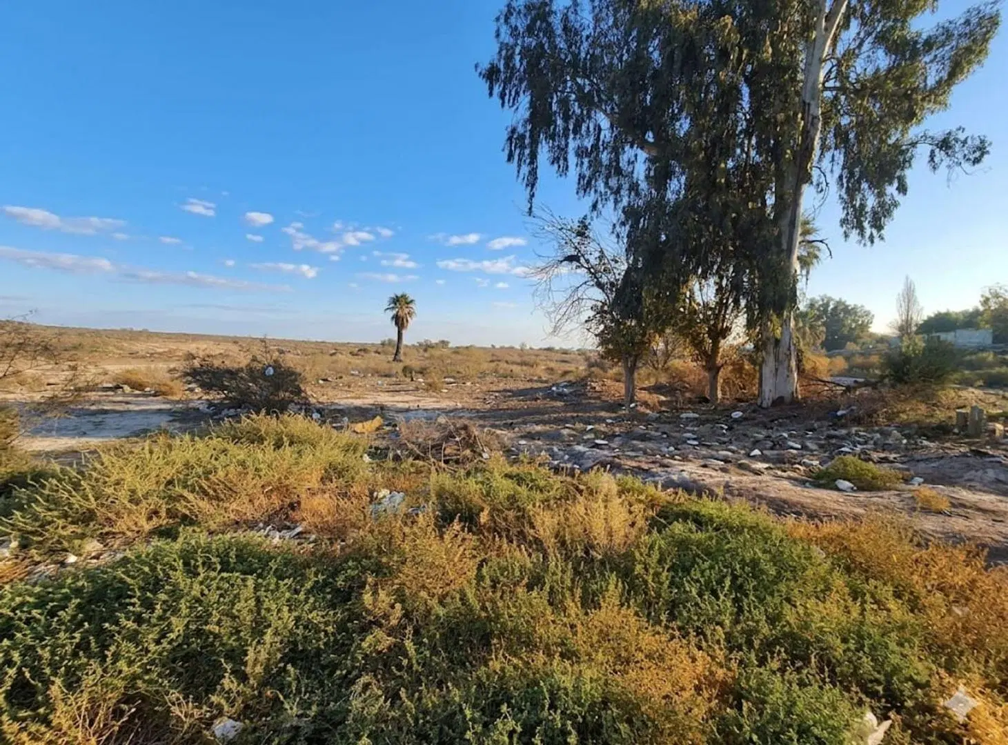VENTA TERRENO DE 5.3H EN SANTA LUCIA 3