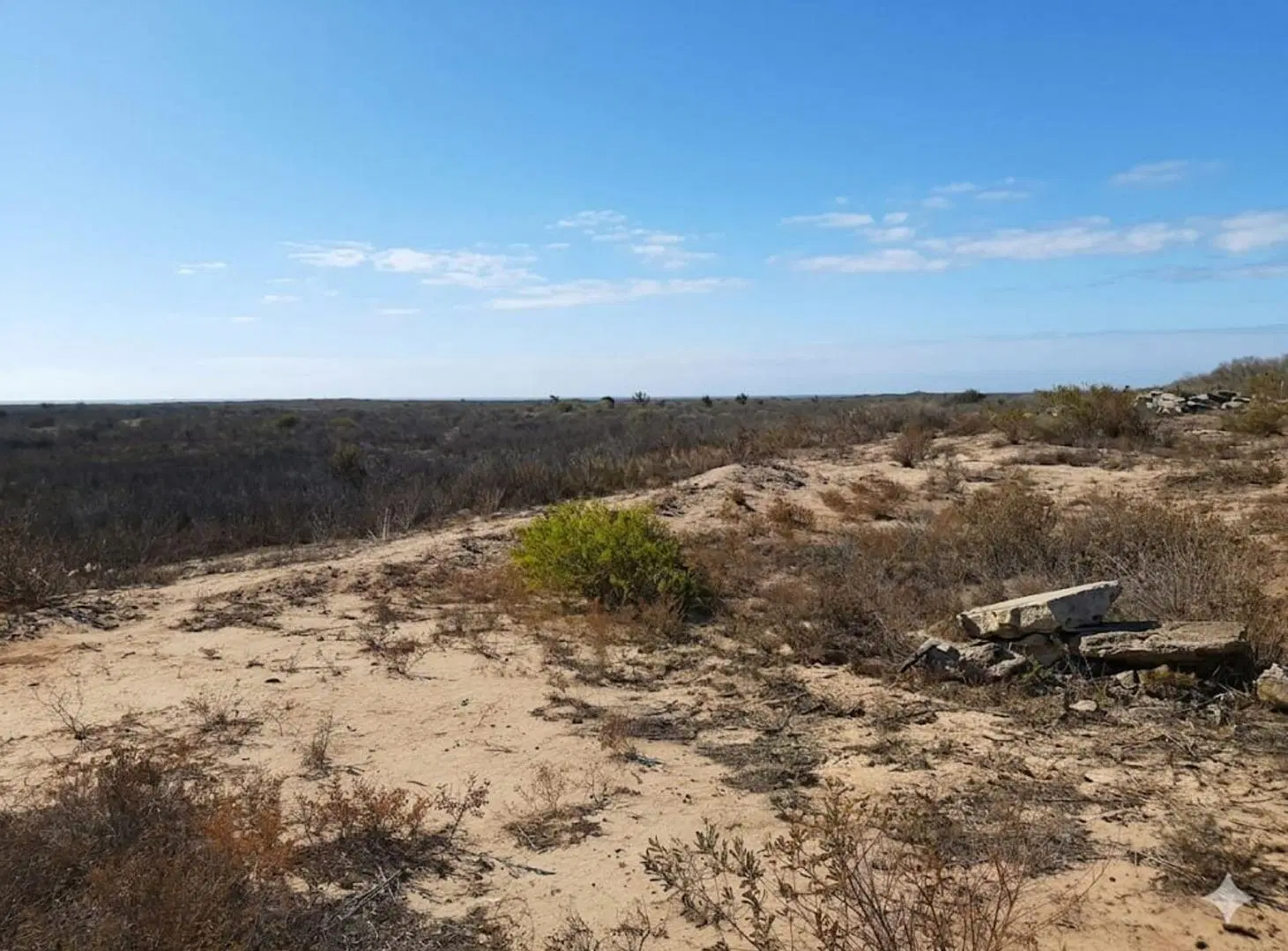VENTA TERRENO DE 5.3H EN SANTA LUCIA 2