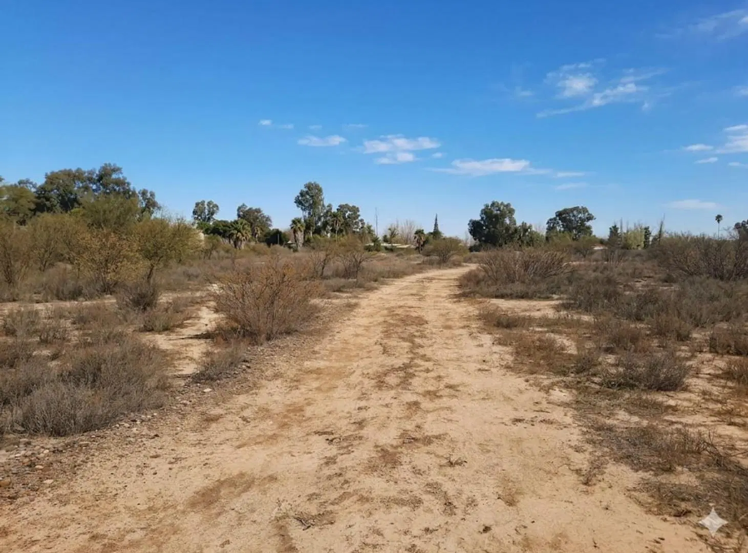 VENTA TERRENO DE 5.3H EN SANTA LUCIA 4