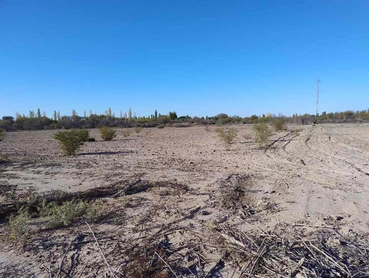 Terreno de 3383 m2 en La Cañada, Albardon 2
