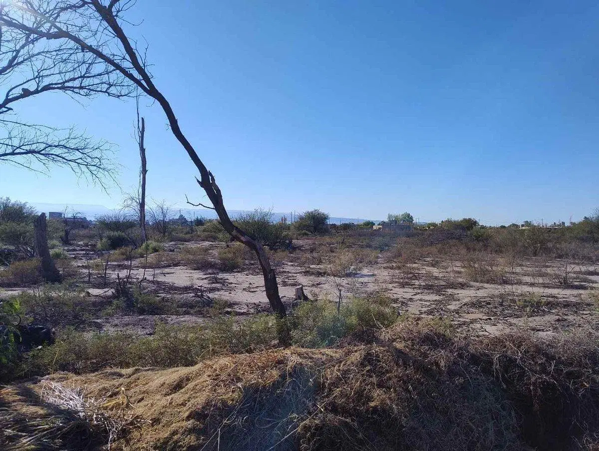 Terreno de 3383 m2 en La Cañada, Albardon 4