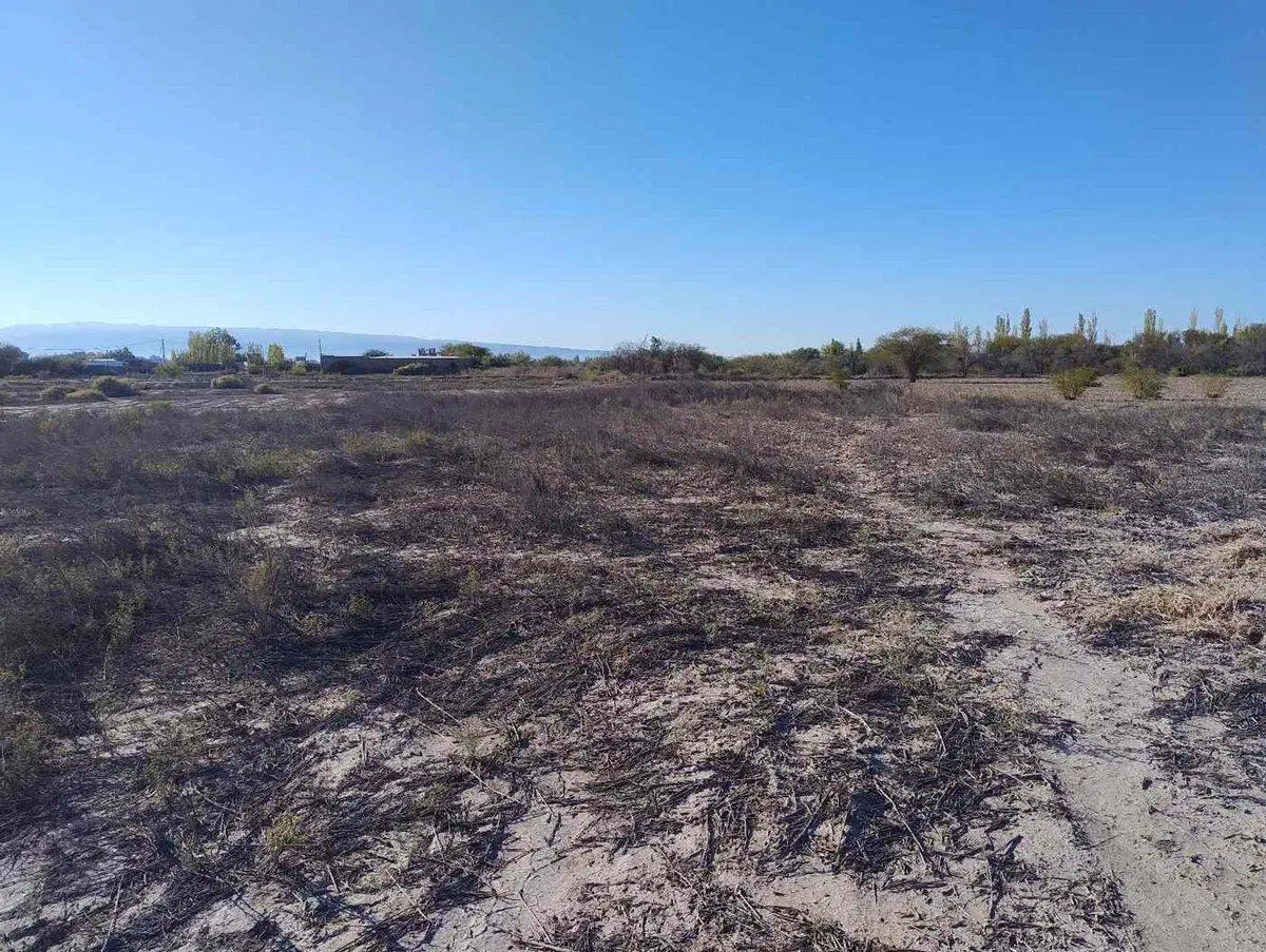 Terreno de 3383 m2 en La Cañada, Albardon 3