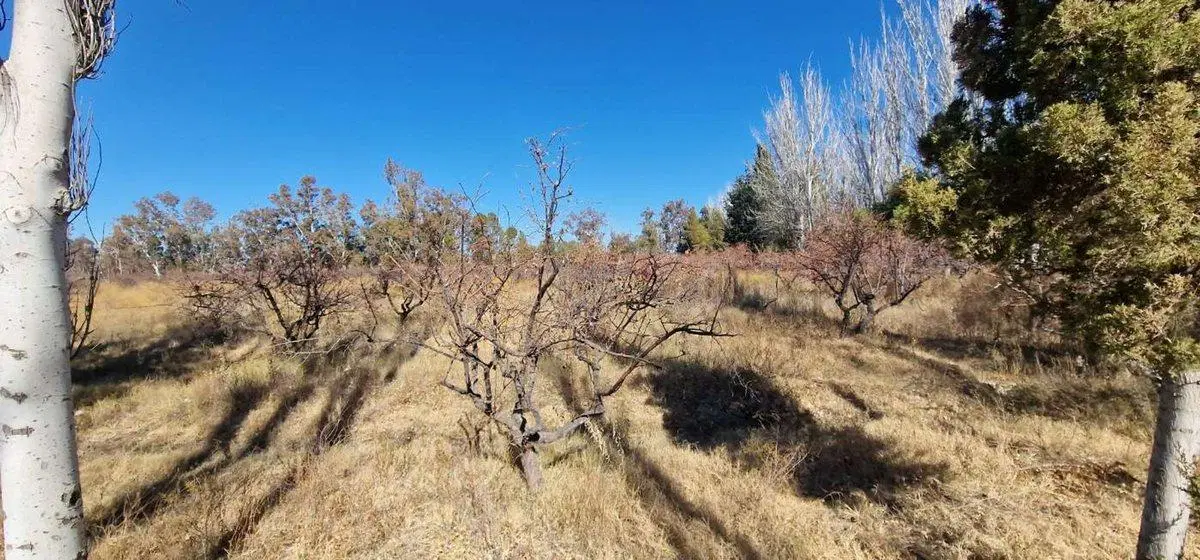 VENTA FINCA 10,8 HAS EN SAN ROQUE JACHAL 4