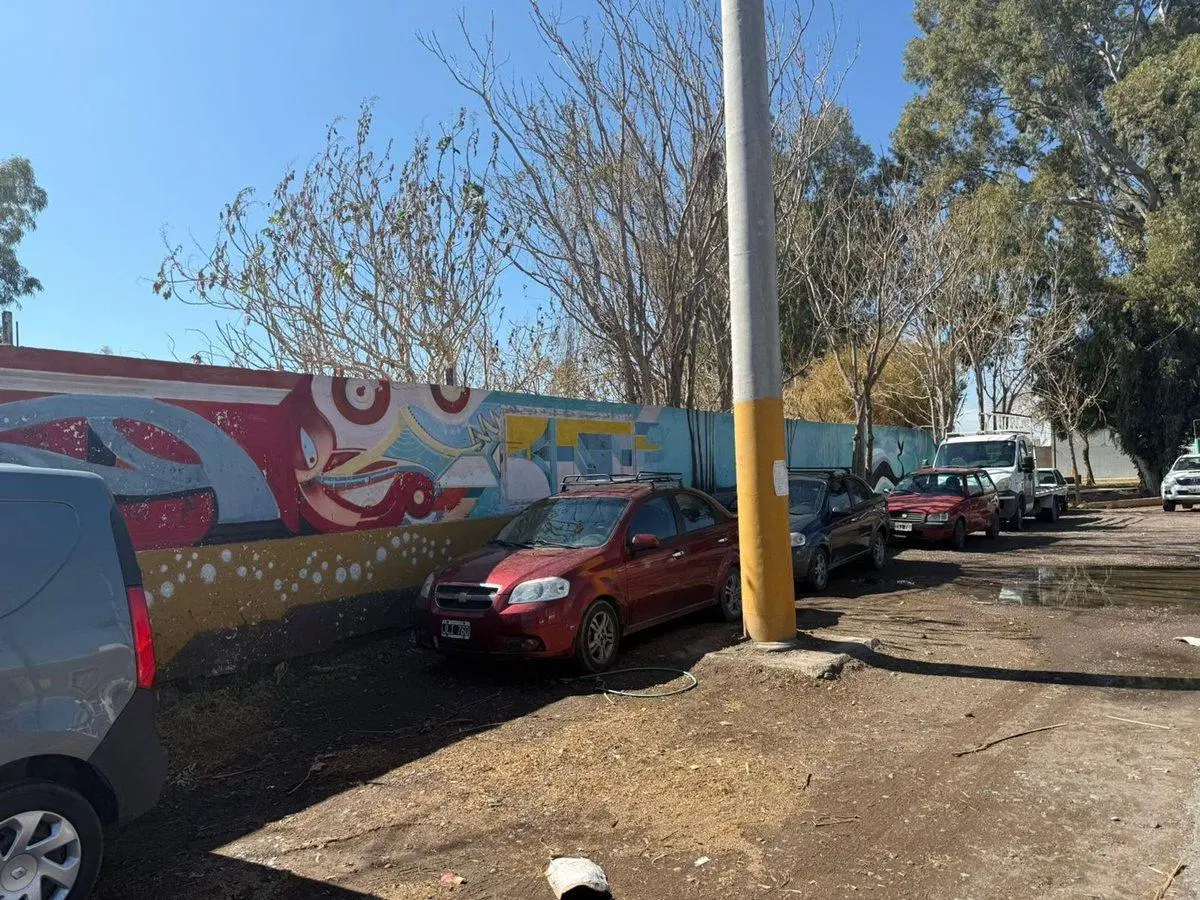 Vendo Lote Sup. 4.000 M2 Aprox. - Santa Lucia 4