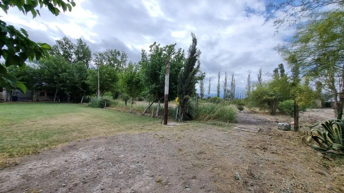 Terreno de 2.988 m2. Quinto Cuartel, Pocito 2