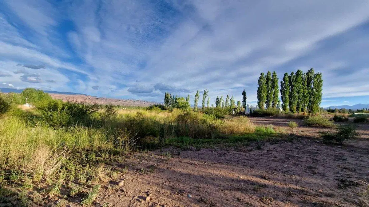 VENTA TERRENO 1.800 M2 BARREAL. ZONA PREMIUM 5