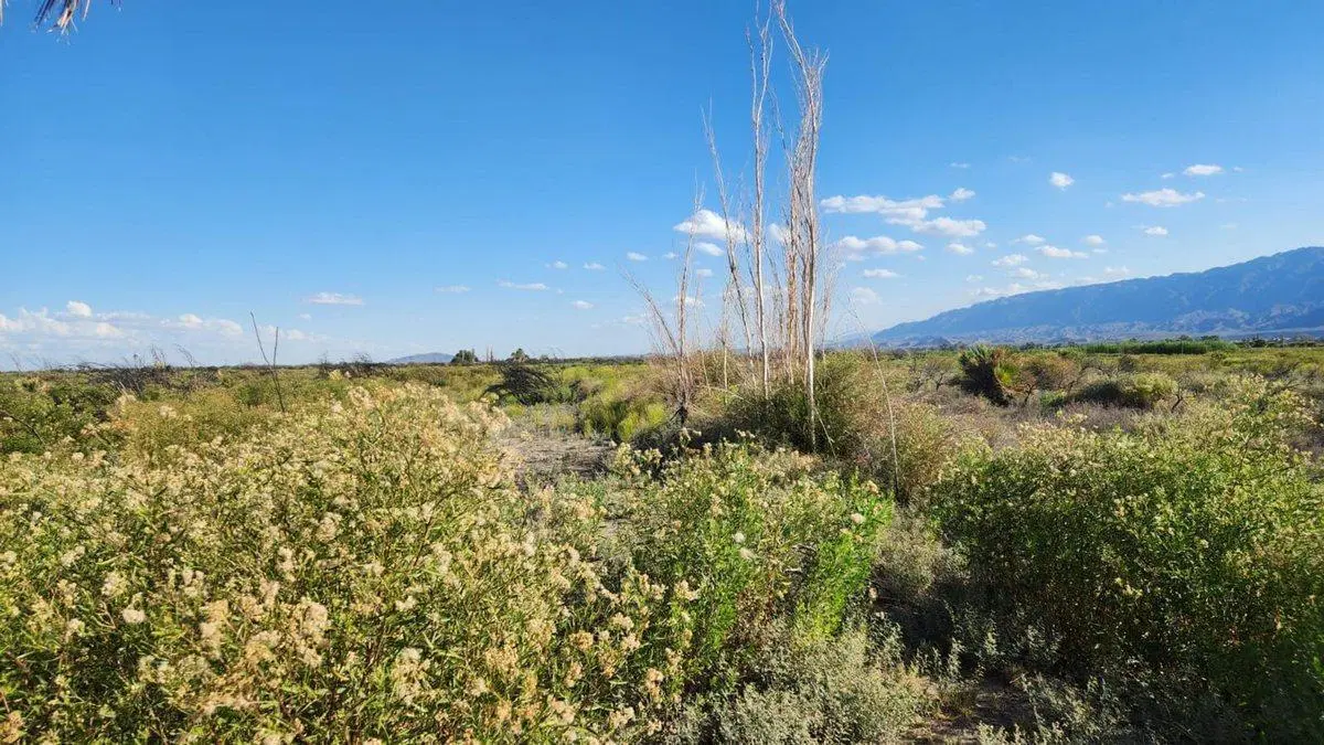 VENTA DE FINCA 7 HA POCITO 2