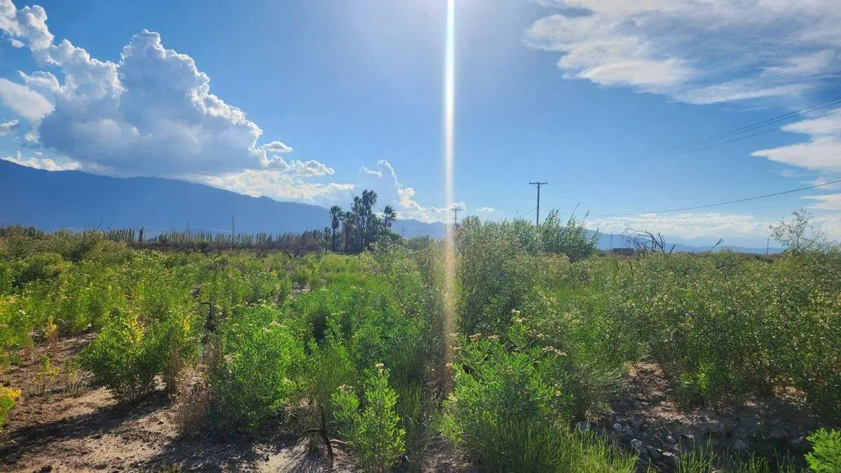 VENTA DE FINCA 7 HA POCITO 4