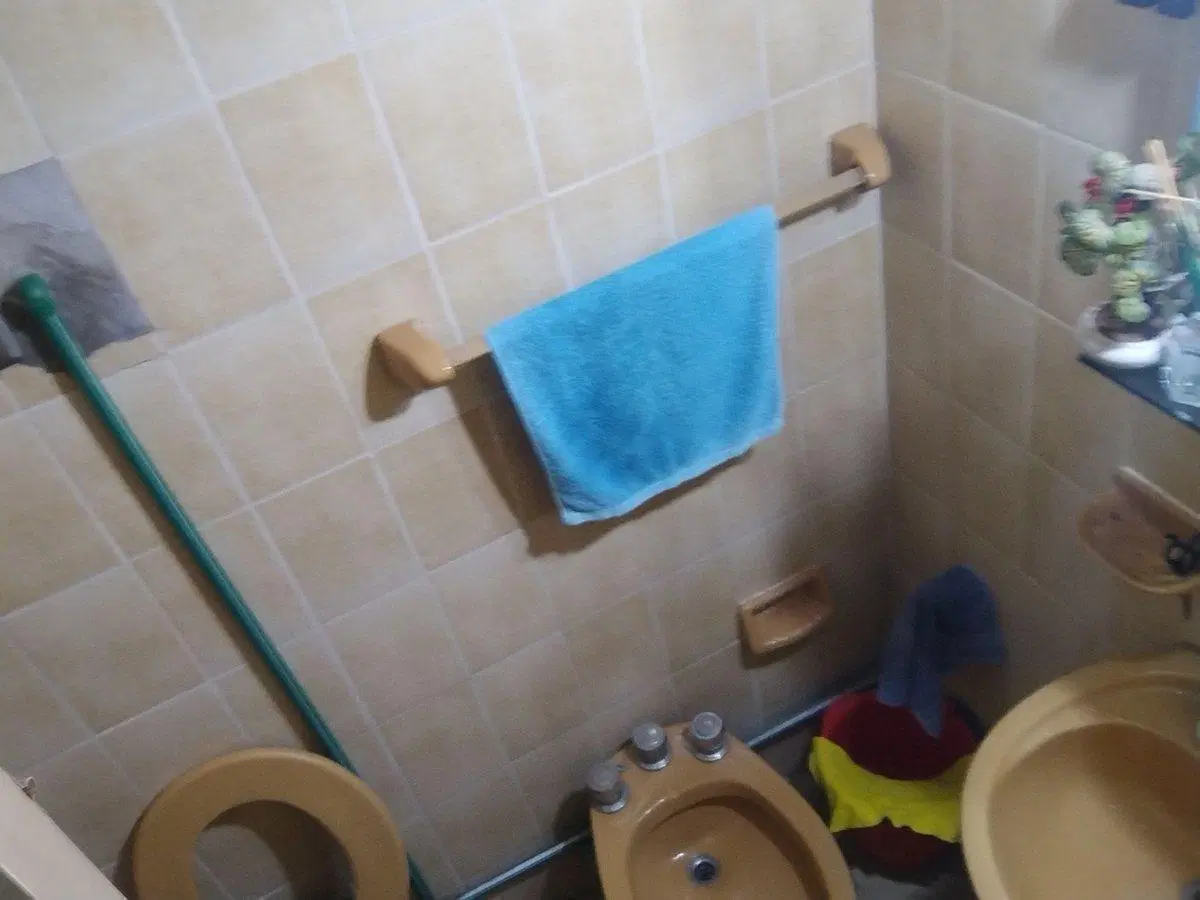 Casa 3 dormitorios, cochera y departamento interno 4