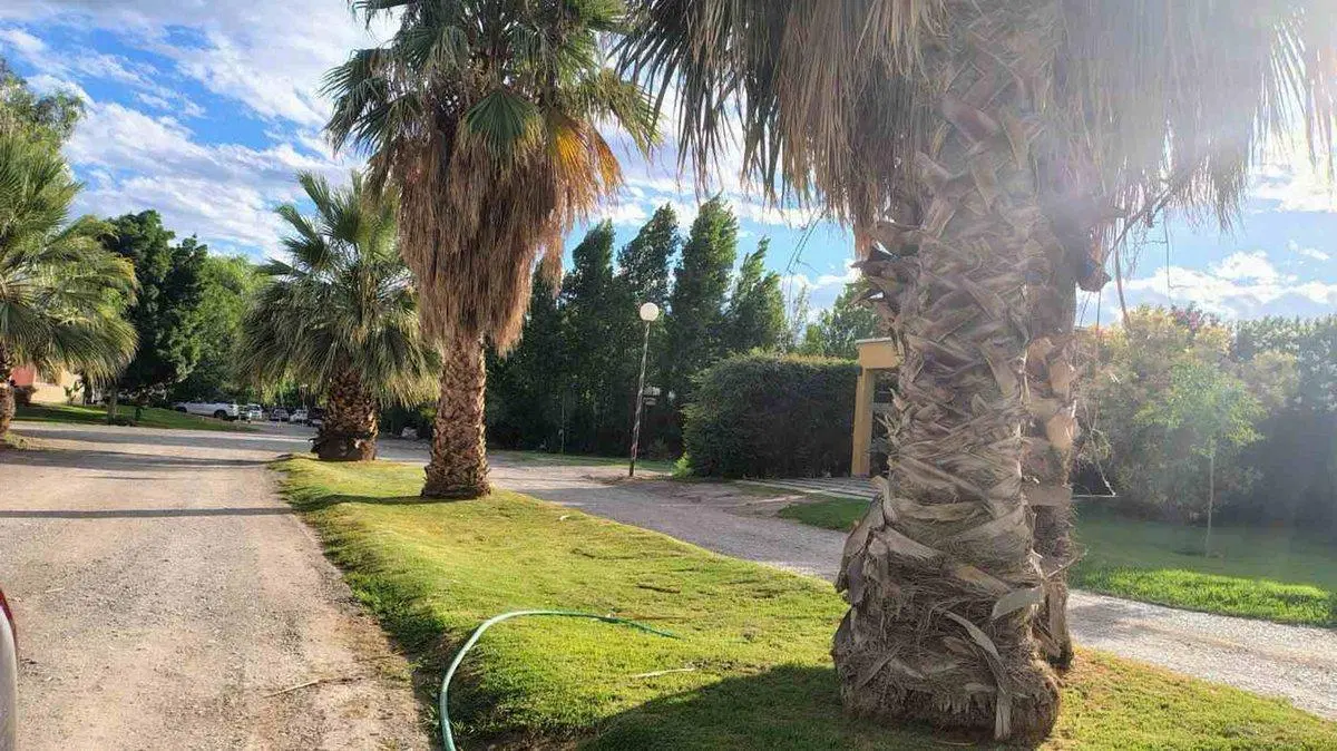 VENTA LOTE B° PRIVADO EL BOSQUE 1755 M2, MEDANITO 2
