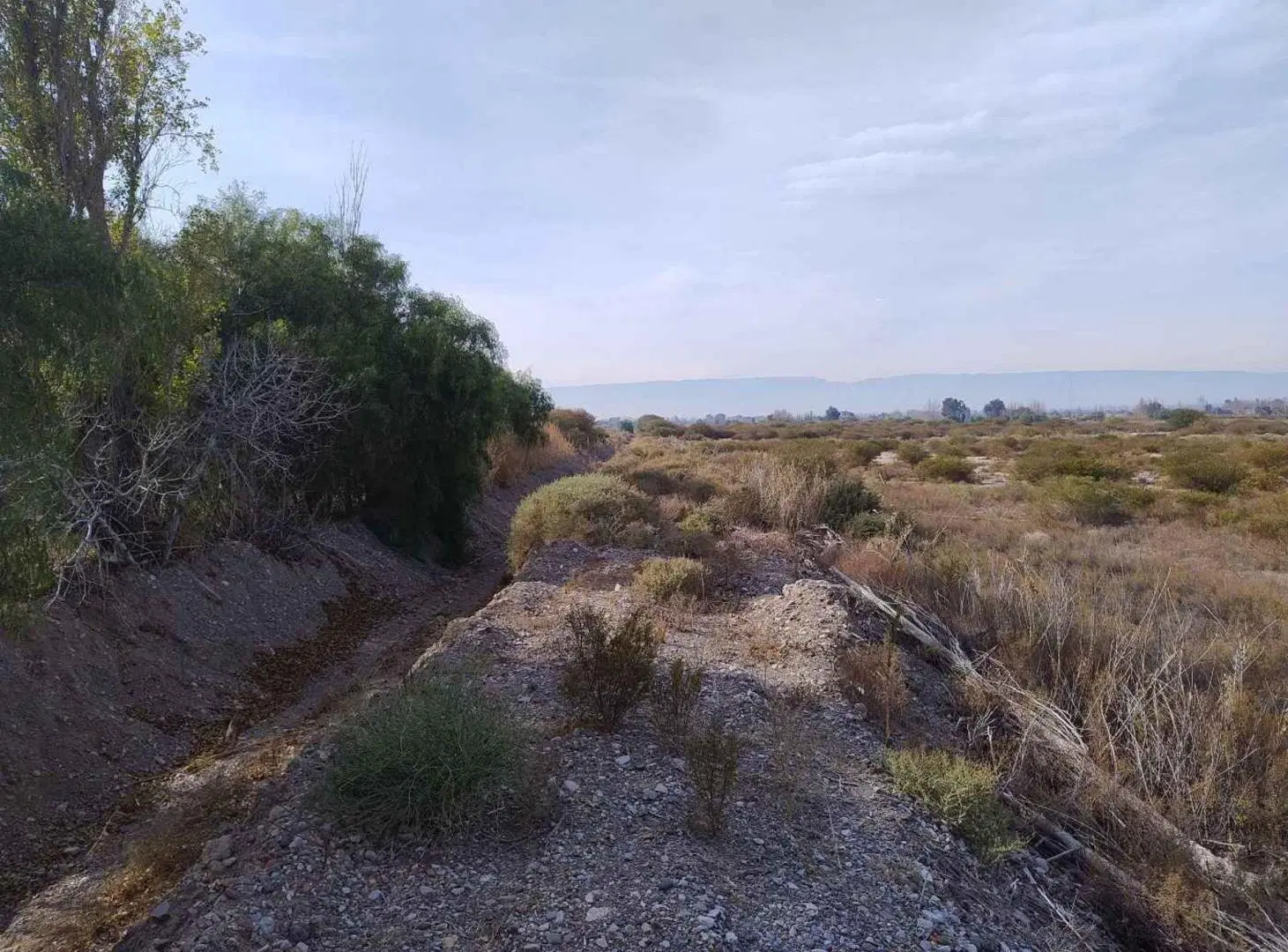 Terreno de 25.000 m2 apto desarrollo inmobiliario 4