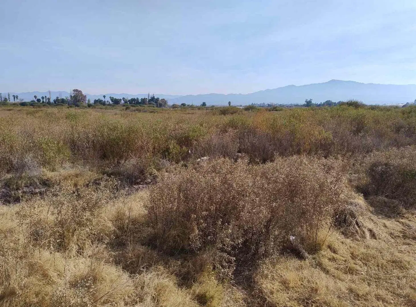 Terreno de 25.000 m2 apto desarrollo inmobiliario 2