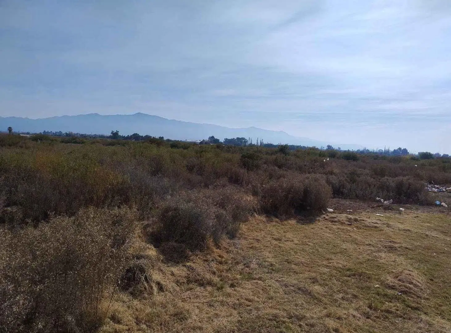 Terreno de 25.000 m2 apto desarrollo inmobiliario 5