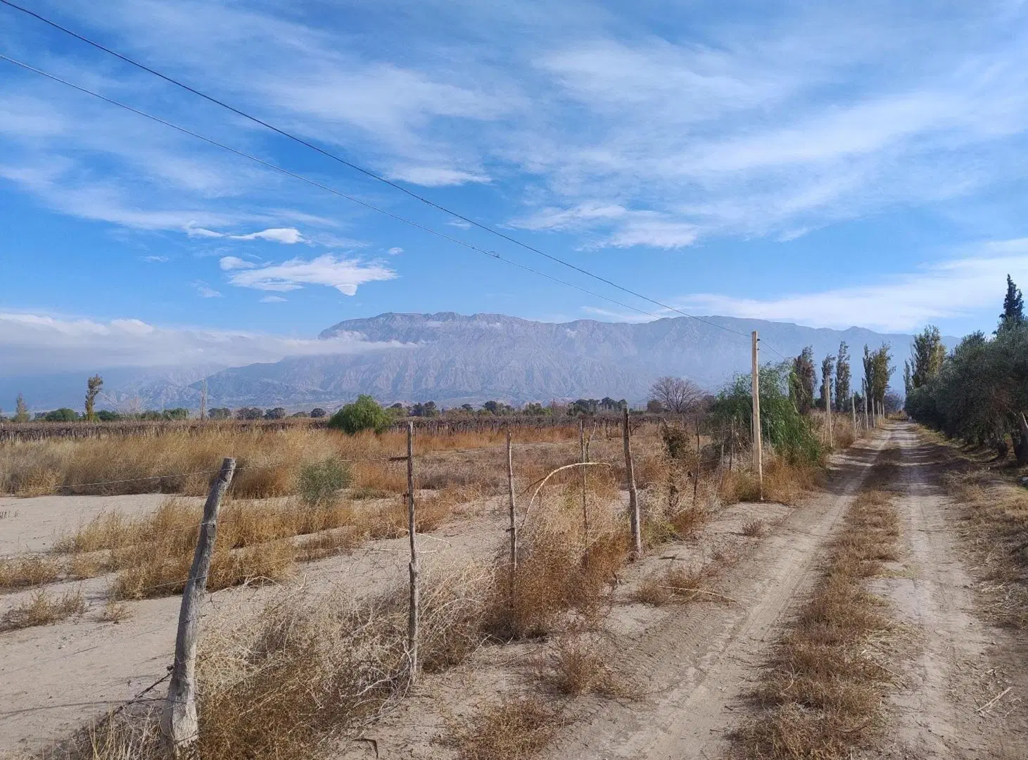 TERRENO DE 2 HAS EN GENERAL ACHA Y CALLE 14.POCITO 4
