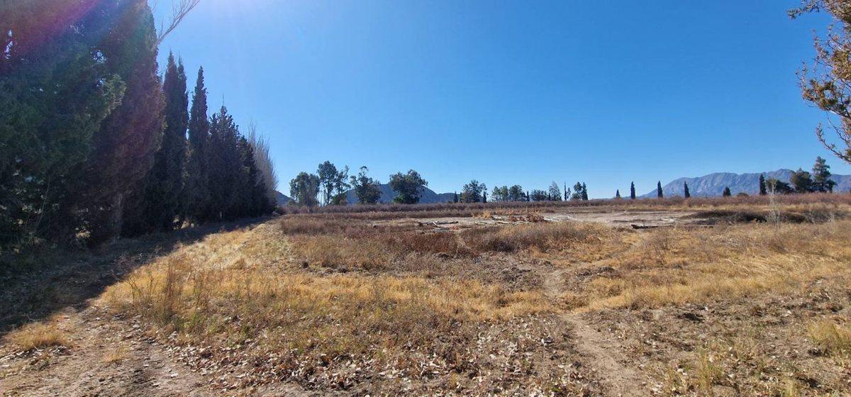 Foto de VENTA FINCA 10,8 HAS EN SAN ROQUE JACHAL, imagen 5