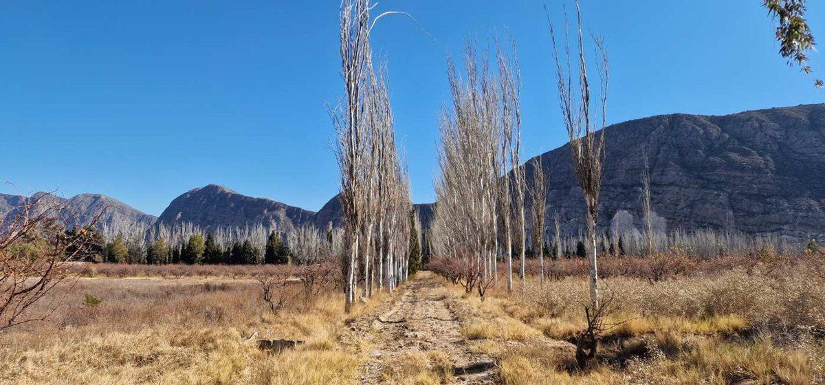 Foto de VENTA FINCA 10,8 HAS EN SAN ROQUE JACHAL, imagen 2