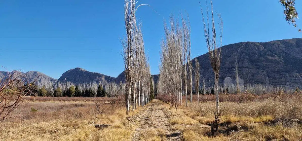 VENTA FINCA 10,8 HAS EN SAN ROQUE JACHAL 2