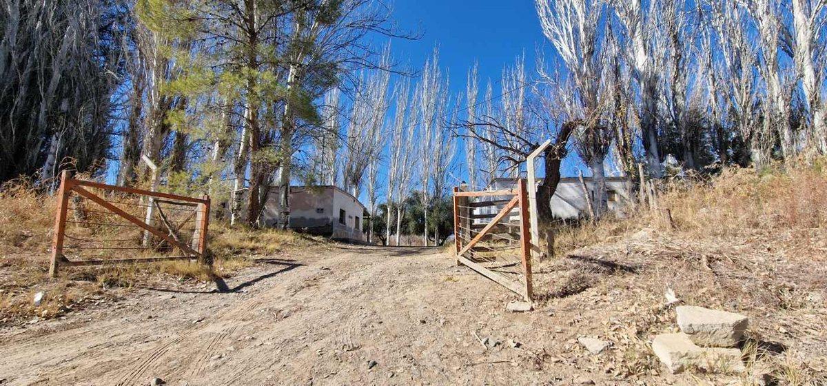 Foto de VENTA FINCA 10,8 HAS EN SAN ROQUE JACHAL, imagen 4