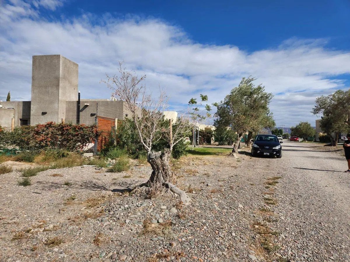 LOTE 652 M2 EN B° SAN JUAN DE LOS OLIVOS. RAWSON 2