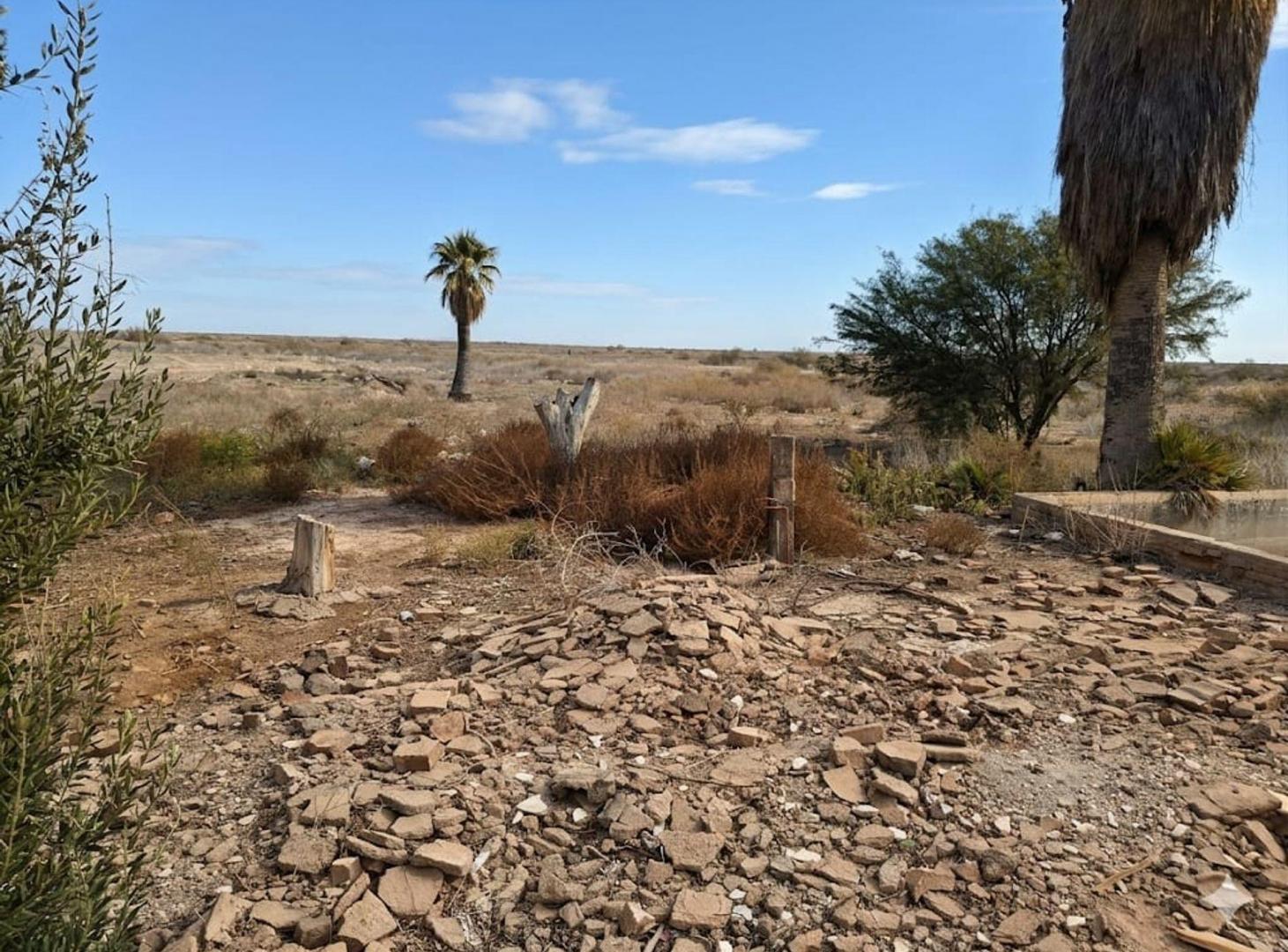 Foto de VENTA TERRENO DE 5.3H EN SANTA LUCIA, imagen 5
