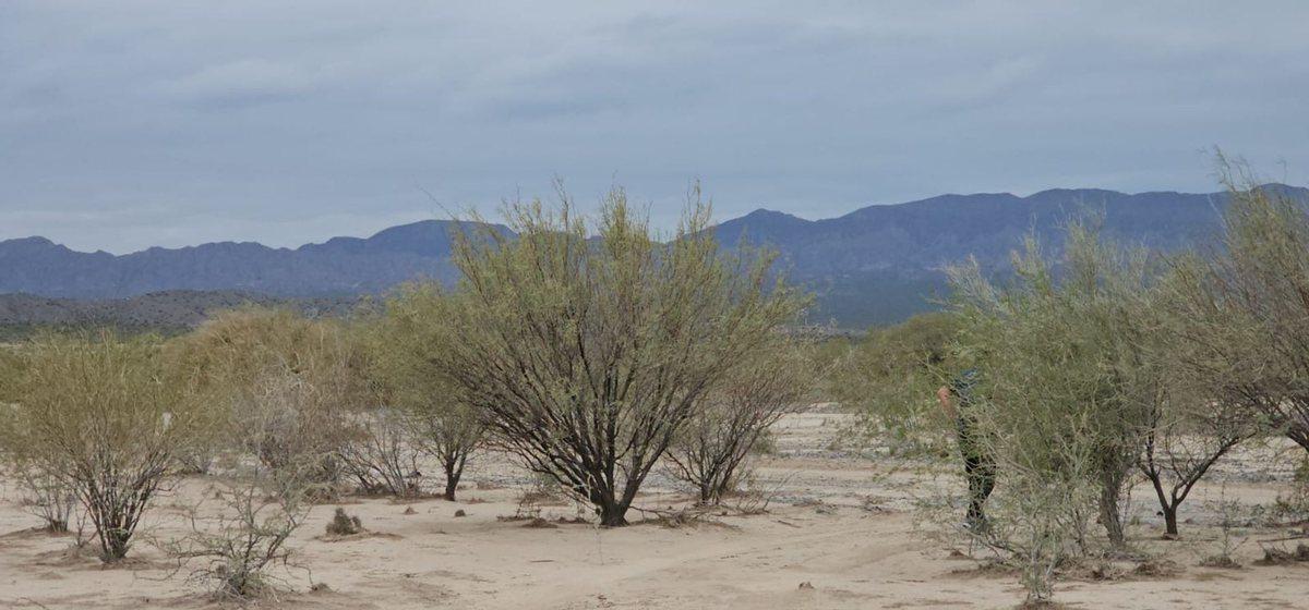 Foto de Campo 8650Has Sobre Ruta 40 Talacasto Ullum, imagen 5
