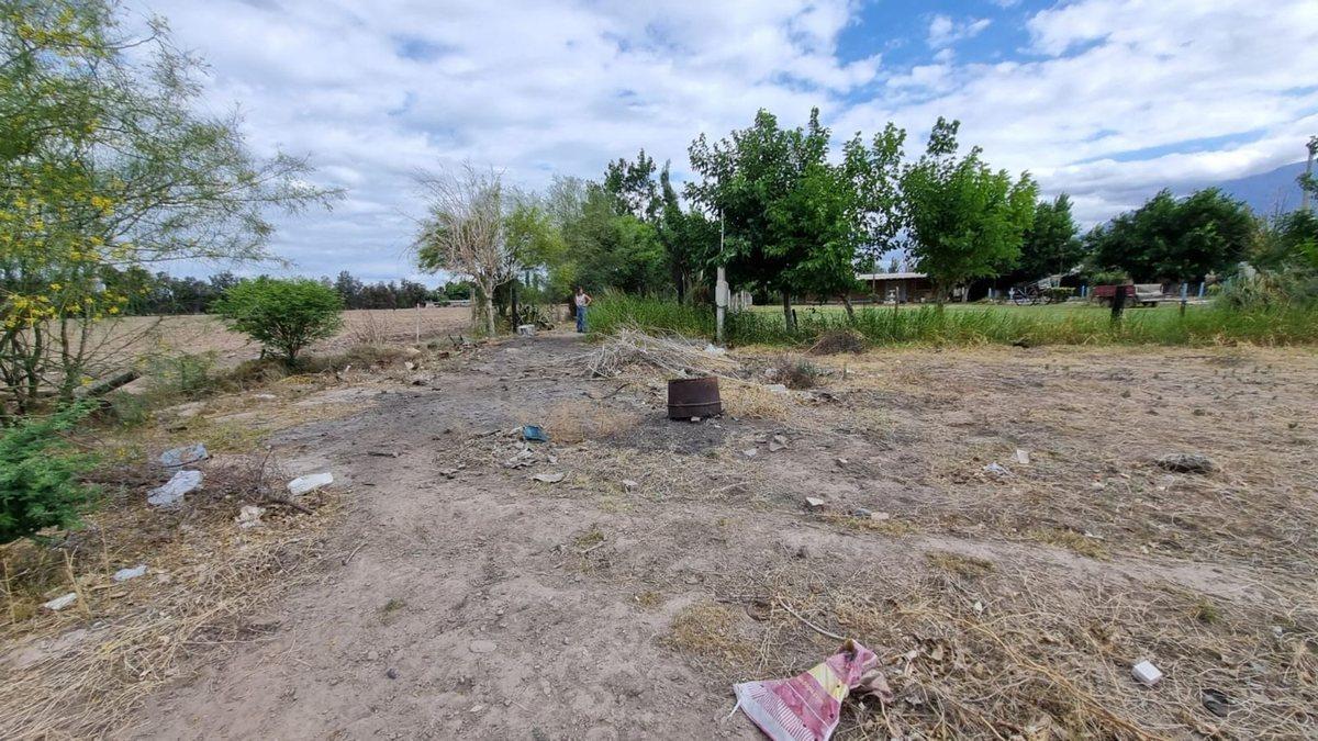 Foto de Terreno de 2.988 m2. Quinto Cuartel, Pocito, imagen 3
