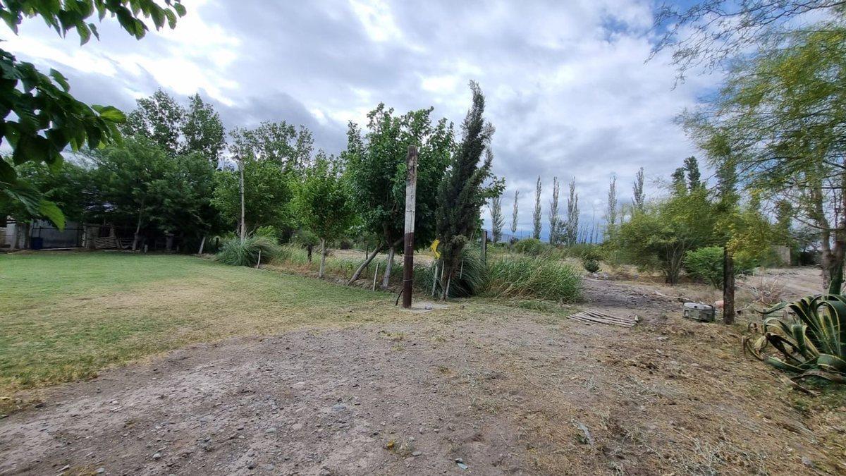 Foto de Terreno de 2.988 m2. Quinto Cuartel, Pocito, imagen 4