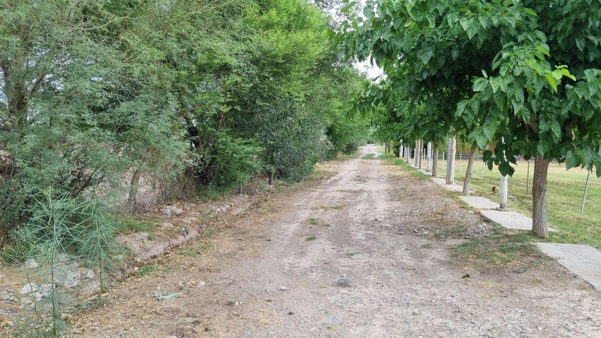 Foto de Terreno de 2.988 m2. Quinto Cuartel, Pocito, imagen 1
