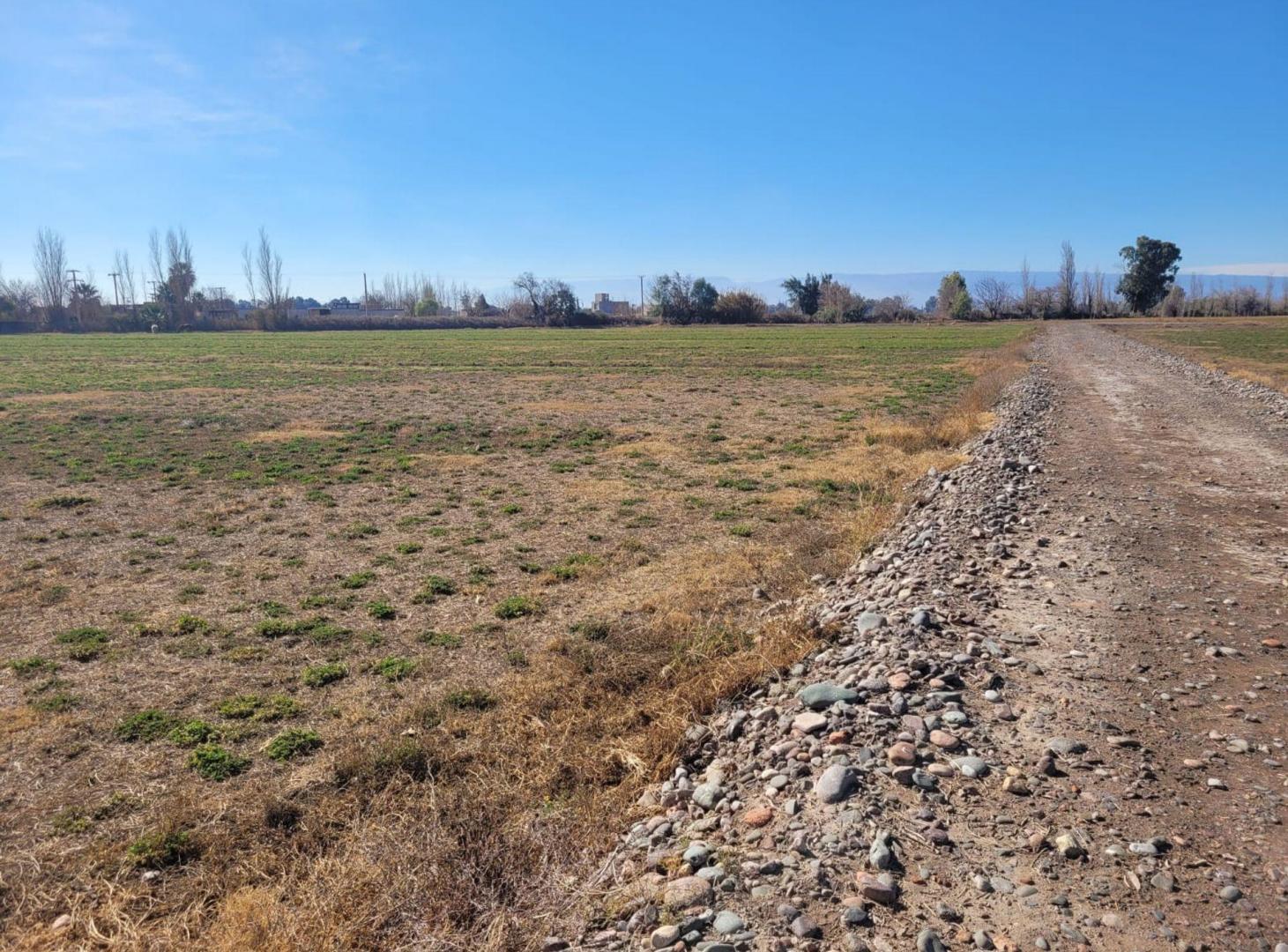 Foto de TERRENO DE 16 HECTAREAS. RAWSON, imagen 3