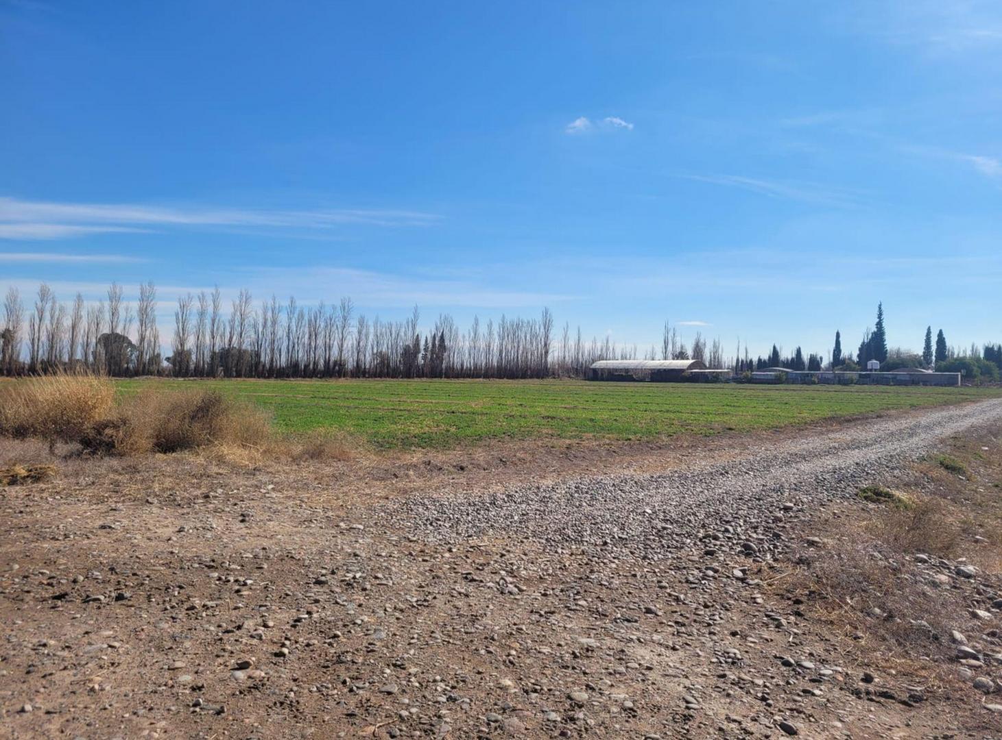 Foto de TERRENO DE 16 HECTAREAS. RAWSON, imagen 5