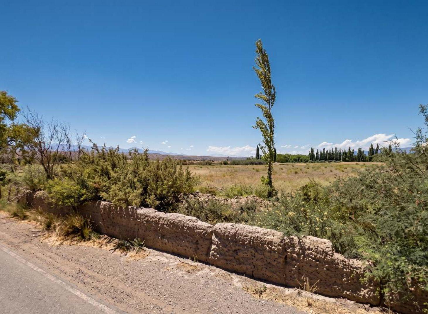 Foto de VENTA TERRENO 5.730 M² EN SOROCAYENSE CALINGASTA, imagen 2
