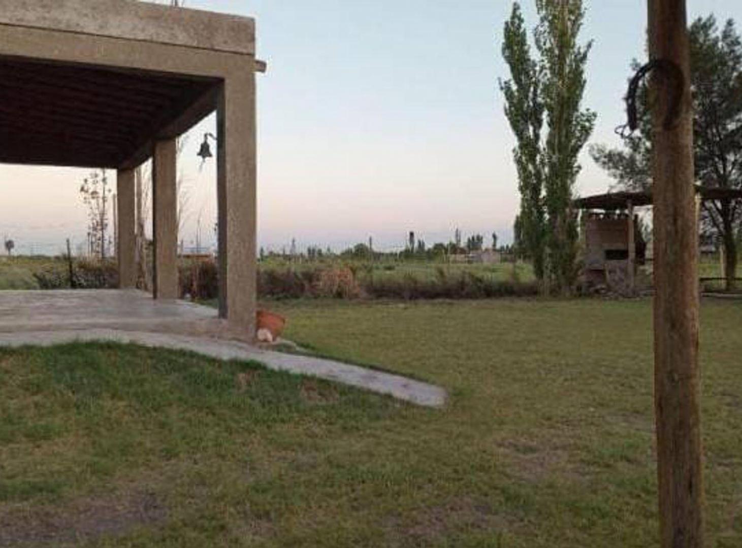 Foto de Casa Quinta. Medano de Oro, Rawson, imagen 4