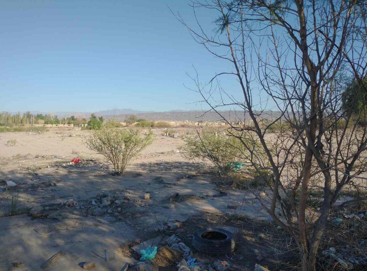 Foto de Terreno de 12.500 m2 en Chimbas, imagen 5